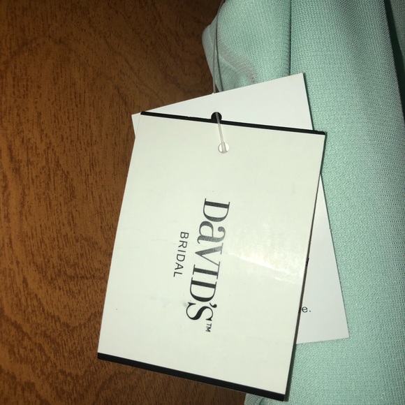 NEW David’s Bridal 18 MINT Short Bridesmaid Dress - Picture 5 of 6